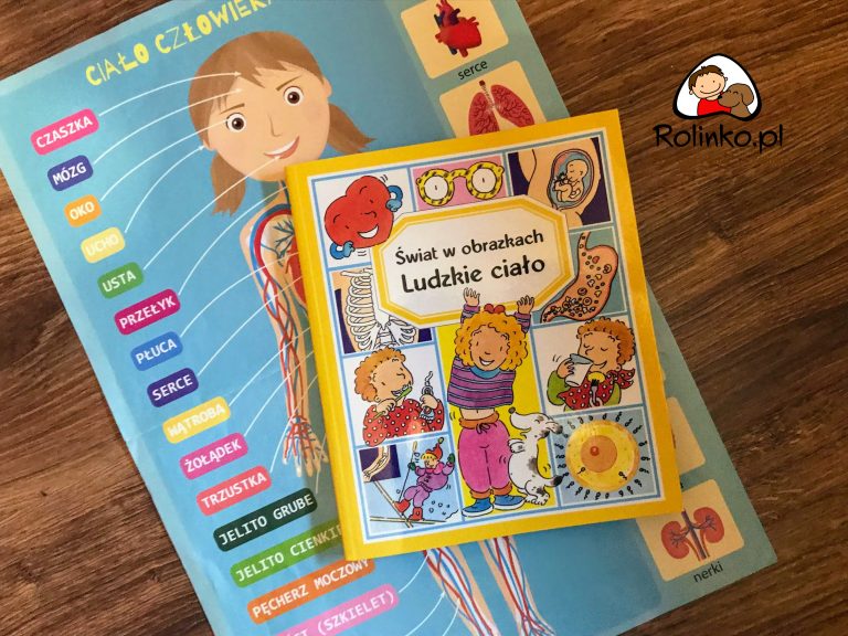 Kiddo World Curious Child – zeszyt ćwiczeń do nauki rysowania i pisania –  ROLINKO