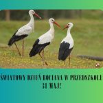 Światowy dzień bociana białego