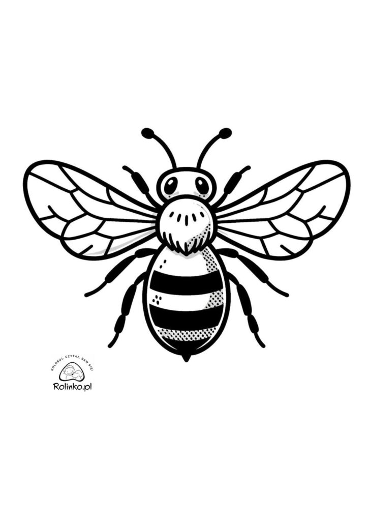 kolorowanka pszczoła