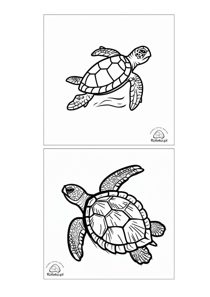 Kolorowanka żółw morski do druku. pływający żółw w oceanie