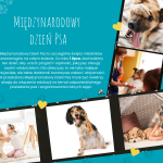 1 lipca międzynarodowy dzień Psa w przedszkolu