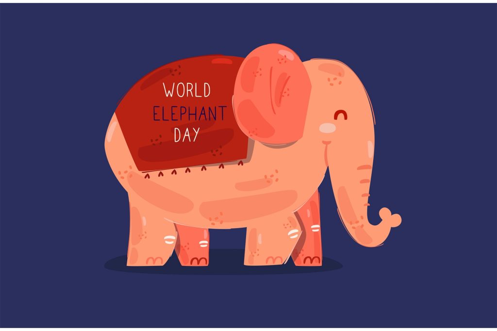 Światowy dzień słonia w przedszkolu