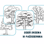 dzień drzewa w przedszkolu i żłobku