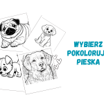 kolorowanki do druku