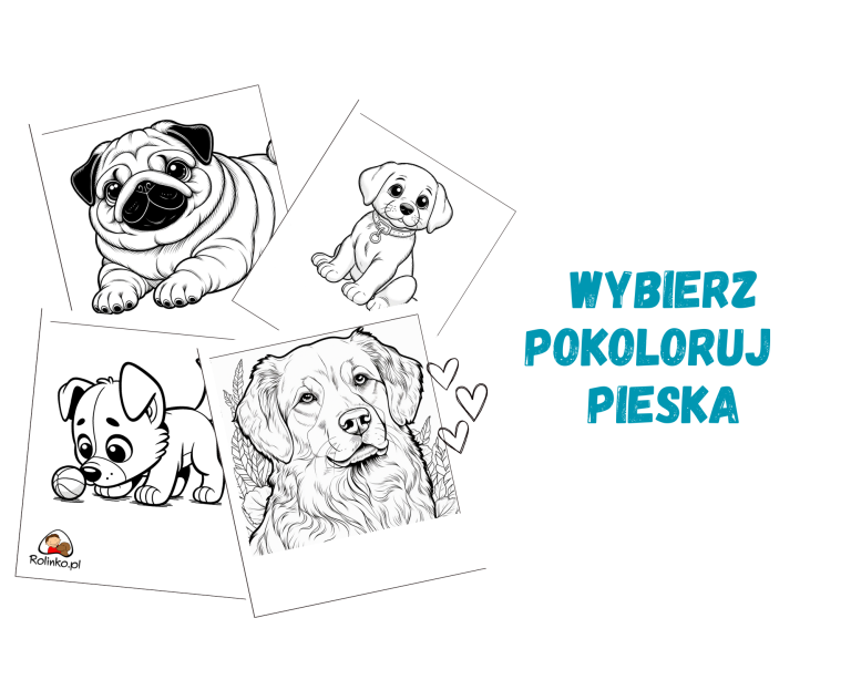 kolorowanki do druku