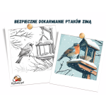 jak bezpiecznie dokarmiać ptaki zimą