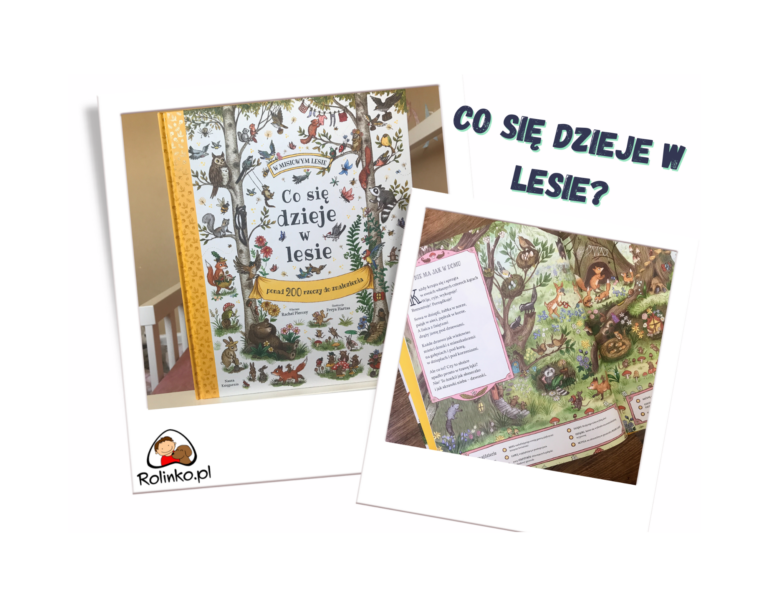 co się dzieje w lesie książka wyszukiwanka