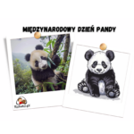 Dzień Pandy w przedszkolu ciekawostki o pandach dla dzieci