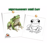 dzień żaby w przedszkolu