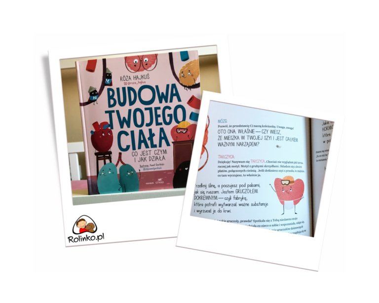 budowa Twojego ciała recenzja