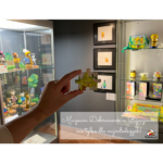 Muzeum Dobranocek Rzeszów opinie blog