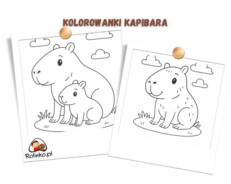 kolorowanki do druki z kapibarą